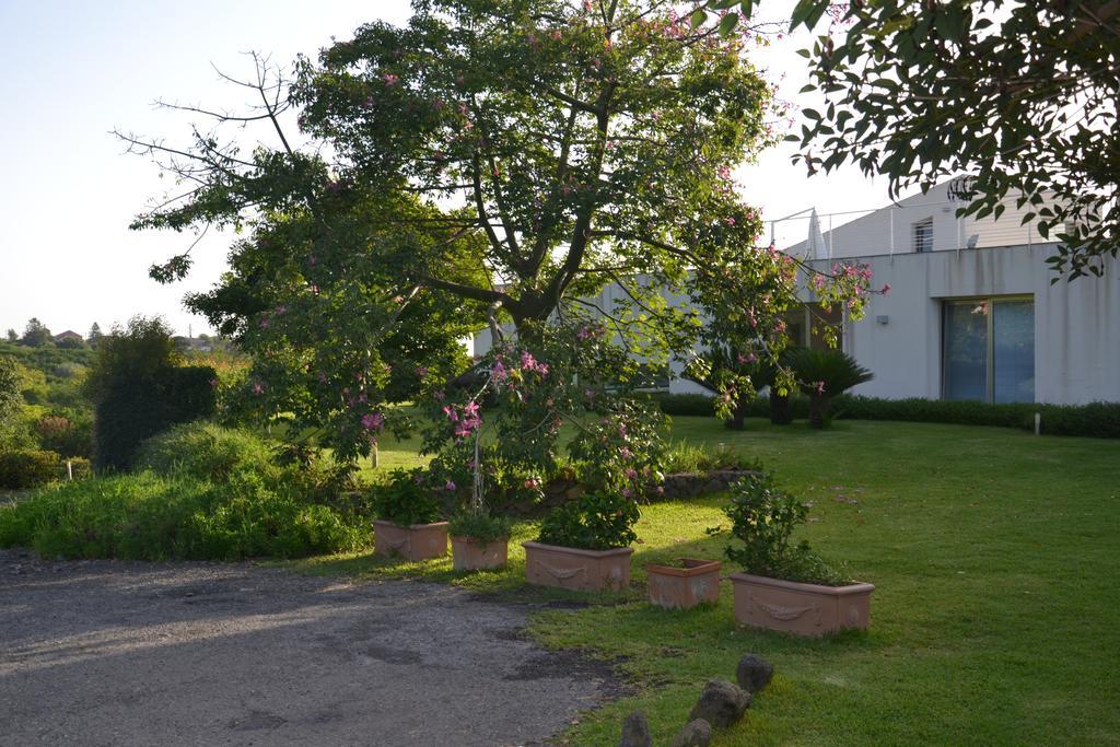 Fiore Dell'Etna Apartment ซานตา เวเนรินา ภายนอก รูปภาพ