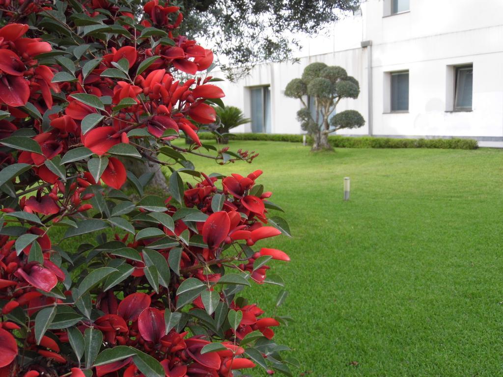 Fiore Dell'Etna Apartment ซานตา เวเนรินา ภายนอก รูปภาพ