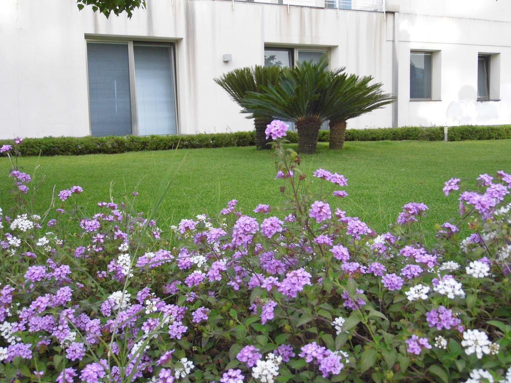 Fiore Dell'Etna Apartment ซานตา เวเนรินา ภายนอก รูปภาพ